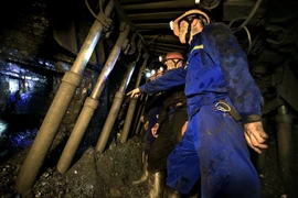 Năm 2025, TKV đạt doanh thu hơn 161.000 tỉ đồng, nộp ngân sách 25.500 tỉ đồng