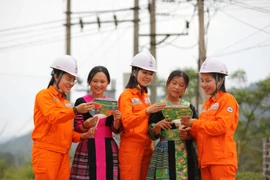 Điện lực miền Bắc đảm bảo cung ứng điện an toàn, hoàn thành các chỉ tiêu