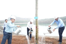 TKV phát động 'Tết trồng cây đời đời nhớ ơn Bác Hồ' xuân Bính Ngọ 2026