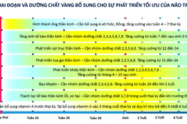 “Dinh dưỡng vàng - Thời gian vàng” cho não bộ của trẻ