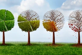 Góp ý tổ chức Giải thưởng Môi trường TP.HCM 2018
