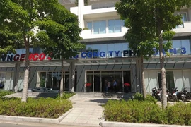 Mùa xuân đầu tiên của EVNGENCO 3 tại TP.HCM
