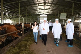 Sữa Cô gái Hà Lan đón tiếp Thứ trưởng Hà Lan đến thăm