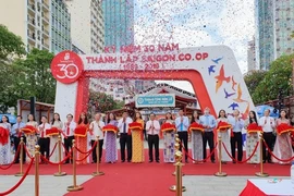 Phố đi bộ “bùng nổ” dàn sao Việt tại ngày hội “Triệu tin yêu”