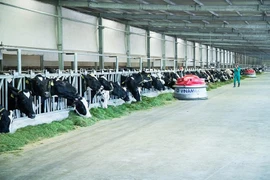 Vinamilk gia nhập CLB 'một tỉ đô' của châu Á-Thái Bình Dương