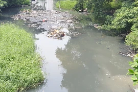 Kiến nghị giải pháp để giải cứu kênh rạch ở TP.HCM