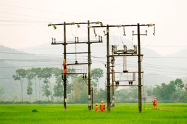 EVN hoàn thành xuất sắc nhiệm vụ xây dựng điện nông thôn