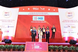 MB: Tốp 15 doanh nghiệp lợi nhuận tốt nhất Việt Nam