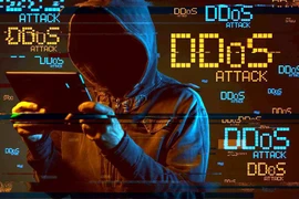 Nền tảng học, thi trực tuyến 789.vn liên tiếp bị tấn công DDoS