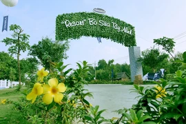 Trang trại Vinamilk phát triển nông nghiệp theo hướng bền vững