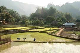 Niềm hi vọng về tương lai cho trẻ em và người dân vùng cao
