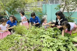 TP.HCM nhân rộng chương trình "Trường học xanh"