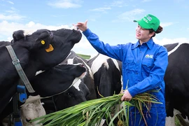Mộc Châu Milk chính thức lên sàn UPCOM