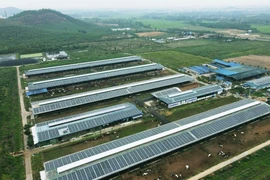 Vinamilk: 12 trang trại bò sữa sẽ sử dụng năng lượng mặt trời
