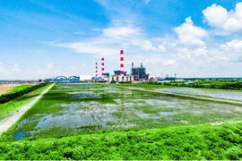 EVNGENCO1: Màu xanh trên các bãi thu xỉ nhiệt điện