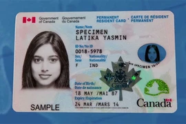 Các thông tin cần biết về thẻ xanh Canada
