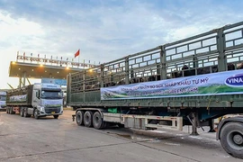 Hệ thống trang trại Vinamilk Green Farm đón thêm 1.550 bò sữa nhập từ Mỹ