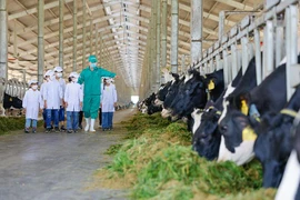 Được đánh giá cao về “E-S-G”, Vinamilk nhận giải phát triển bền vững 2022
