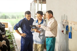 FrieslandCampina: Top 3 công ty danh tiếng nhất Hà Lan