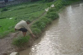  Hốt hoảng phát hiện 2 xác thai nhi dưới mương nước thả Vịt