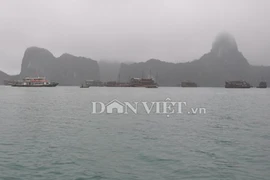 Một du khách Anh tử nạn trên Vịnh Hạ Long