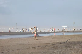 Tăng cường lực lượng bảo vệ bãi nghêu