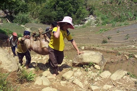 Bản làng giữa lưng chừng trời