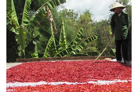 Người dân “méo mặt” vì thương lái Trung Quốc