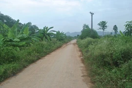 Trưởng công an bị "cẩu tặc" đánh dập xương tay ở Thanh Hóa