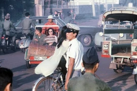 Những bông hồng trong thế giới du đãng