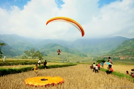 Vẻ đẹp mùa vàng Mù Cang Chải từ dù lượn