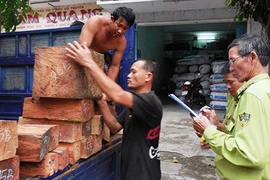 Phát hiện chín điểm cất giấu gỗ trái phép với khối lượng lớn