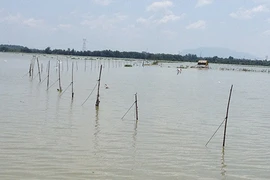 Phải dẹp xong đăng chắn hồ Trị An trong tháng 11