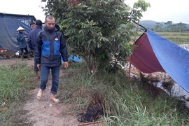 Lão nông bị sát hại giữa cánh đồng lúc mờ sáng