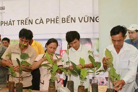 19.000 nông dân tham gia sản xuất cà phê 'sạch'