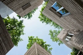 Nhà cây của Việt Nam lọt top 10 ngôi nhà của năm trên tạp chí Anh