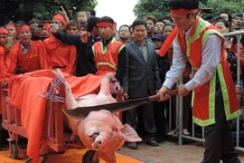 Lễ hội chém lợn: Lấy ý kiến cộng đồng đổi tên thành 'lễ rước' 