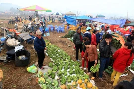 Phiên chợ Nủa đậm chất đồng bằng Bắc Bộ xưa
