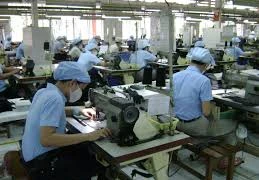 Gần nửa triệu DN sẽ 'chấm điểm' ngành thuế và hải quan