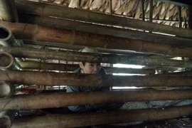 Phát dại sau bệnh nặng, bị người thân nhốt trong cũi