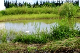 Người đàn ông chết dưới hồ nước với vết chém trên đầu
