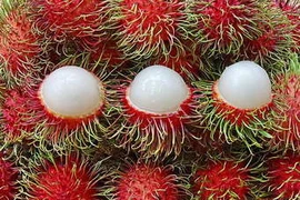 Bé gái 3 tuổi tử vong do hóc hạt chôm chôm