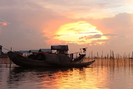 Hoàng hôn vàng óng trên đầm Chuồn