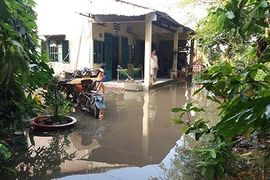 Vườn mai, ao cá ngập nặng sau mưa