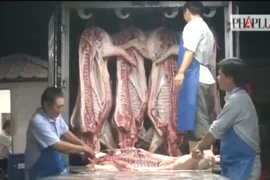 Clip trắng đêm canh thịt bẩn vào thành phố