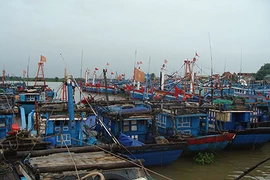 Cấm tàu thuyền xuất bến trước áp thấp nhiệt đới gần bờ