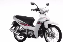 Công an Bà Rịa - Vũng Tàu tìm bị hại trong 3 vụ trộm xe