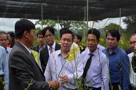 Phó Thủ tướng thăm mô hình sản xuất tại Lâm Đồng