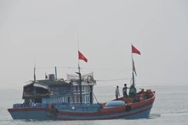 Hàng chục tàu cá của ngư dân Lý Sơn đồng loạt ra khơi
