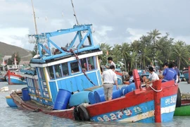 Chìm tàu cá, 11 ngư dân thoát chết ở Quảng Ngãi
